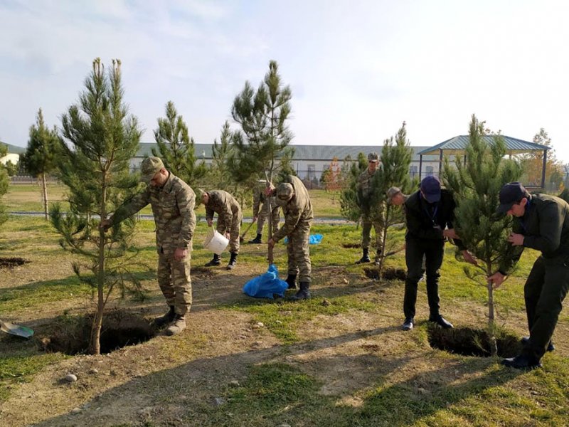“Azərbaycan Ordusu bu ay 200 mindən artıq ağac əkəcək