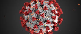 “Dünyada hər həftə təxminən 2 milyon yeni koronavirus infeksiyasına yoluxma qeydə alınır