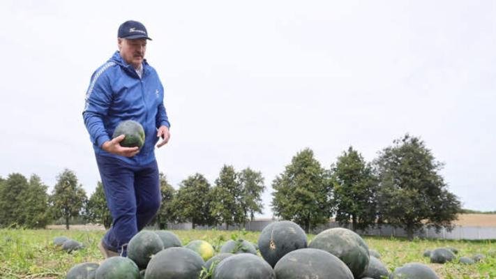Lukaşenko: “İnsanları sağlam məhsullarla təmin etmək 1 nömrəli məsələdir”