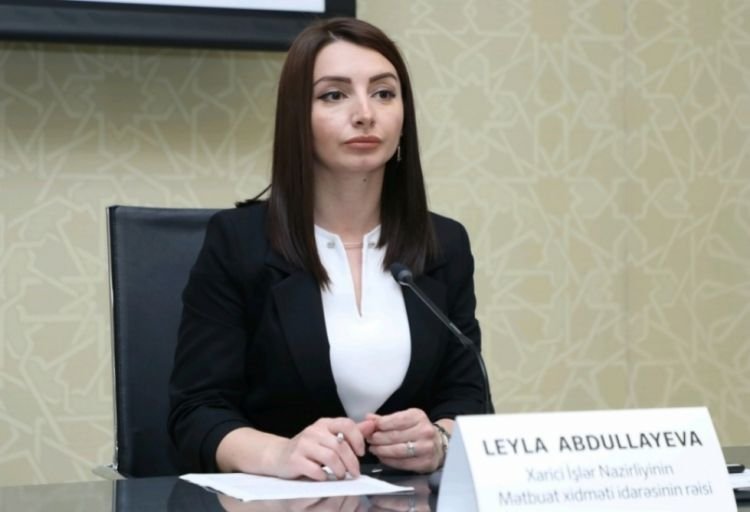 “Leyla Abdullayeva: N.Paşinyanın əsassız iddiaları Ermənistanın sülh istəyini ciddi sual altına alır
