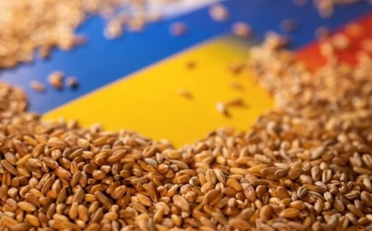 Ukrayna limanlarından 21 milyon tondan çox ərzaq ixrac edilib