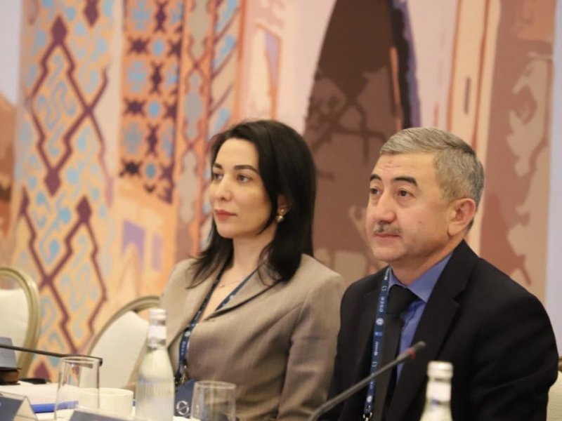 Səbinə Əliyeva Özbəkistan Ombudsman İnstitutunun təşkil etdiyi beynəlxalq konfransda iştirak edib