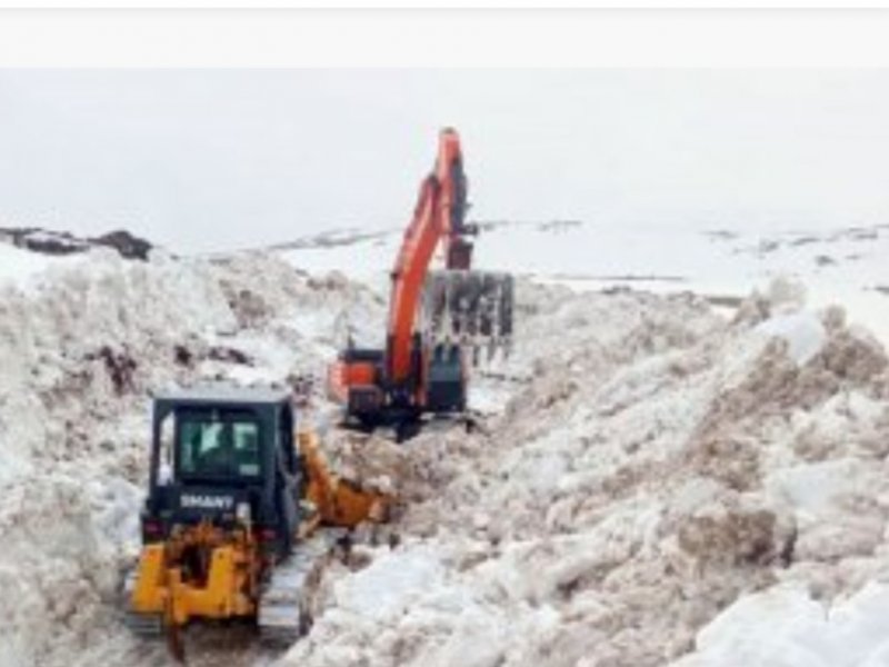 “Bu ay Azərbaycan Ordusu azad edilmiş ərazilərdə 600 hektaradək sahəni minalardan təmizləyib - VİDEO