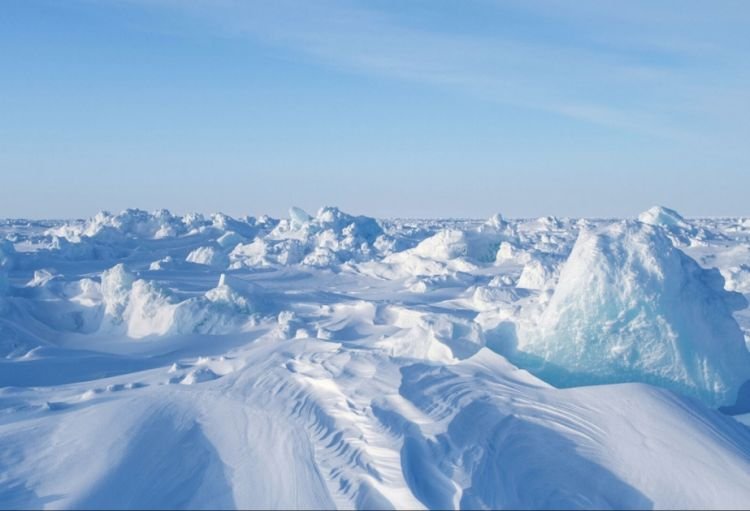 Alimlər: Yaxın iki ildə Arktika dəniz buzu demək olar ki, tamamilə əriyə bilər