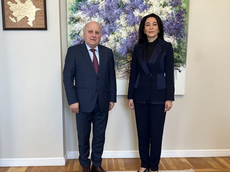 “Ombudsman Səbinə Əliyeva BMT-nin Komitə üzvü Aslan Abaşidze ilə görüşüb