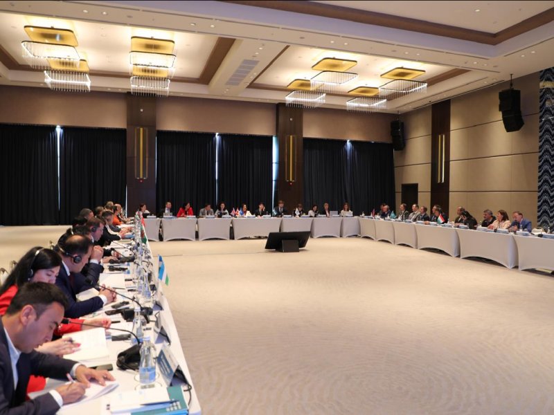 Ombudsman nümayəndəsi mütəşəkkil cinayətkarlığın qarşısının alınması ilə əlaqədar beynəlxalq tədbirdə iştirak edib