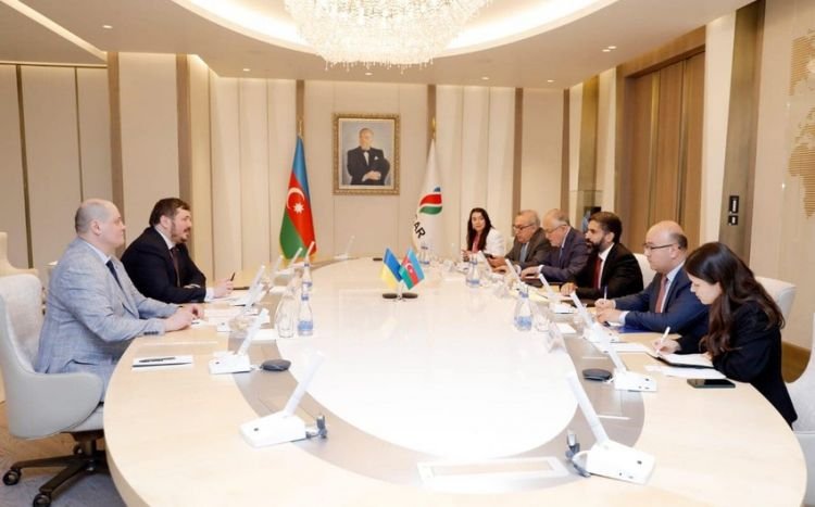 Azərbaycan və Ukrayna enerji sahəsində əməkdaşlığı müzakirə edib
