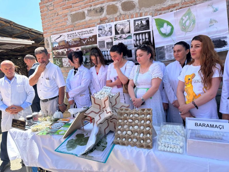 ŞƏKİ DÖVLƏT PEŞƏ TƏHSİL MƏRKƏZİNDƏ AÇIQ QAPI GÜNÜ OLUB-FOTOLAR.