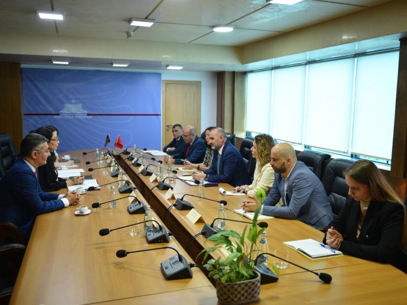 Ombudsman Səbinə Əliyeva Albaniyada keçirilən beynəlxalq konfransda çıxış edib