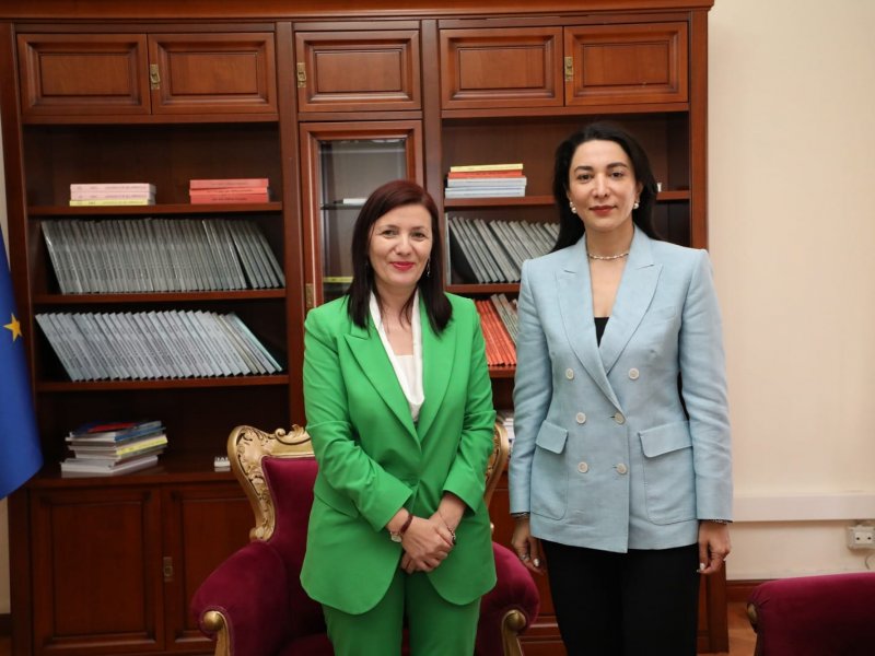 Ombudsman Səbinə Əliyeva Albaniyada keçirilən beynəlxalq konfransda çıxış edib