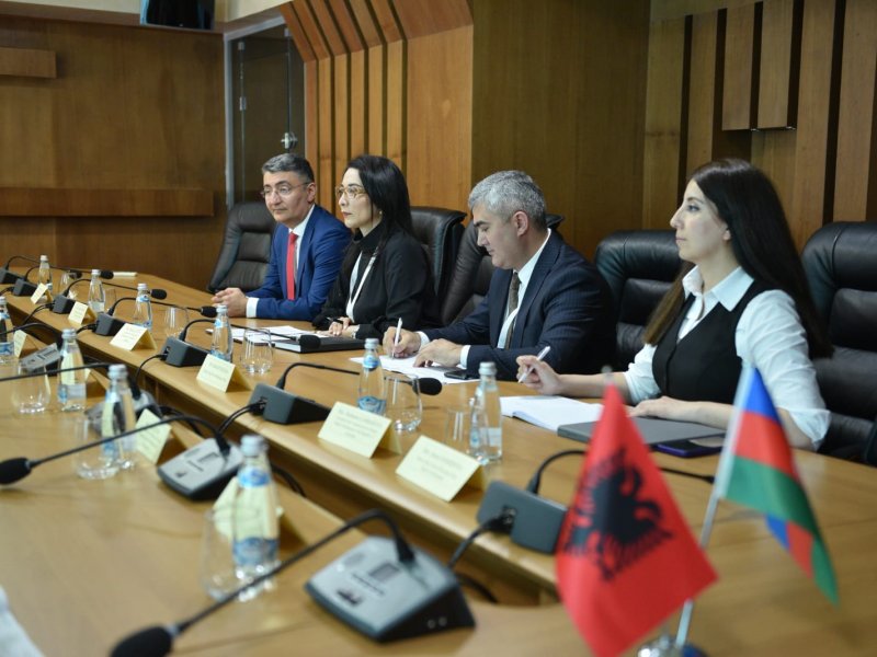 Ombudsman Səbinə Əliyeva Albaniyada keçirilən beynəlxalq konfransda çıxış edib