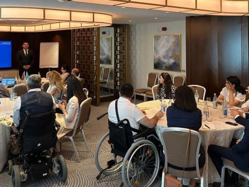 Ombudsman Aparatının əməkdaşı Əlilliyi olan Şəxslərin Hüquqları üzrə BMT Tərəfdaşlığının (UNPRPD) giriş təlimində iştirak edib