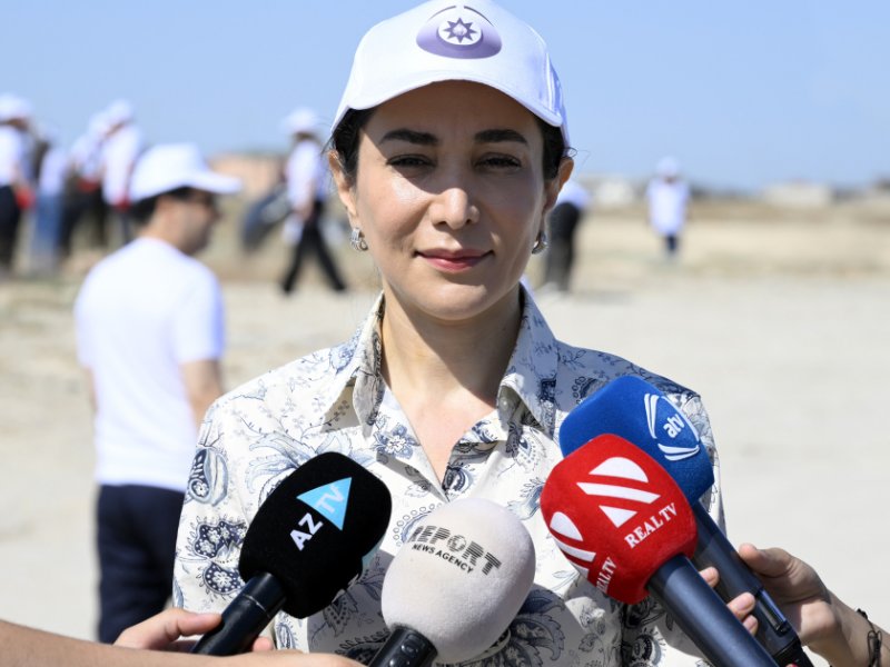 Ombudsman Aparatının və Bakı Şəhər İcra Hakimiyyətinin birgə əməkdaşlığı ilə sahilyanı təmizlik aksiyası keçirilib