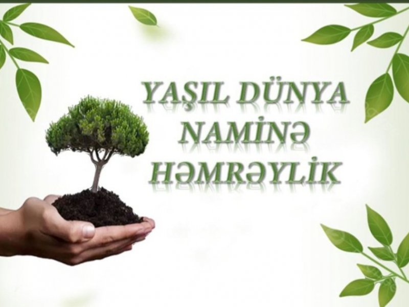 “Yaşıl dünya naminə həmrəylik ili” ilə bağlı araşdırma müsabiqəsində iştirak etmək istəyən KİV nümayəndələrinin nəzərinə!