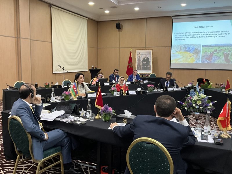 Ombudsman Səbinə Əliyeva Mərakeşdə İƏT OA-nın İdarə Heyətinin 11-ci iclasında çıxış edib