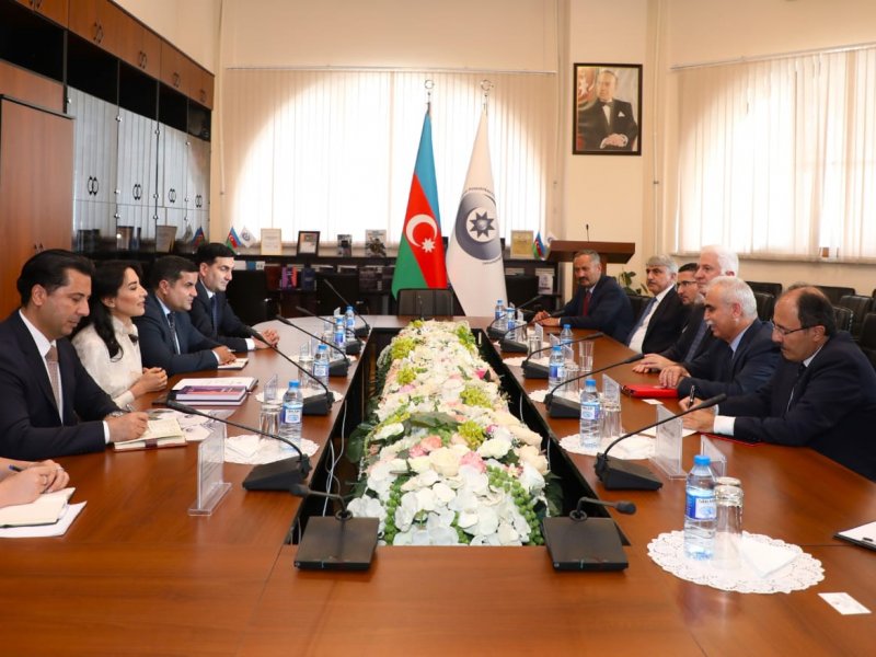 Ombudsman Səbinə Əliyeva Türkiyənin Konstitusiya Məhkəməsinin sədri ilə görüşüb
