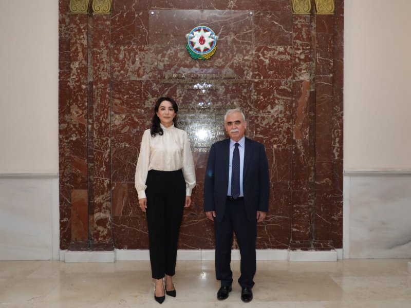 Ombudsman Səbinə Əliyeva Türkiyənin Konstitusiya Məhkəməsinin sədri ilə görüşüb