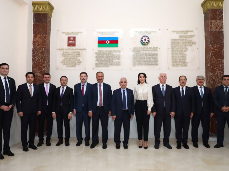 Ombudsman Səbinə Əliyeva Türkiyənin Konstitusiya Məhkəməsinin sədri ilə görüşüb