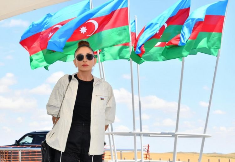Bu gün Azərbaycanın Birinci vitse-prezidenti, ölkənin birinci xanımı Mehriban Əliyevanın doğum günüdür