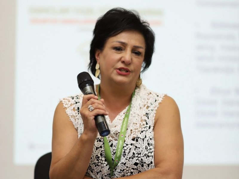 Diaspor Gənclərinin V Yay Düşərgəsində “Laçınlılar Laçında ” mövzusunda panel təşkil olunub