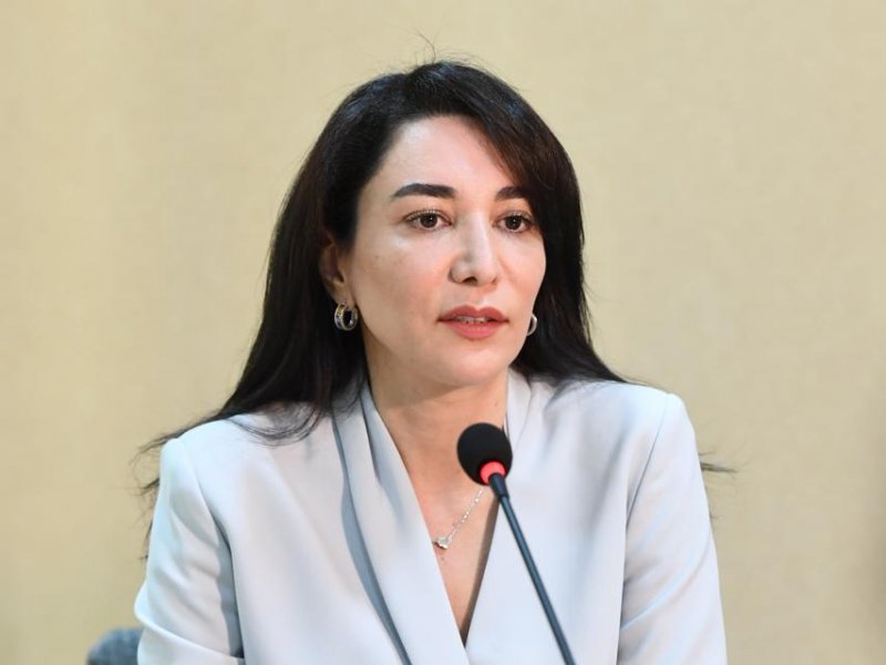 “Vətəndaşların seçki hüququnun təmini” mövzusunda növbəti dəyirmi masa Naxçıvanda keçirilib