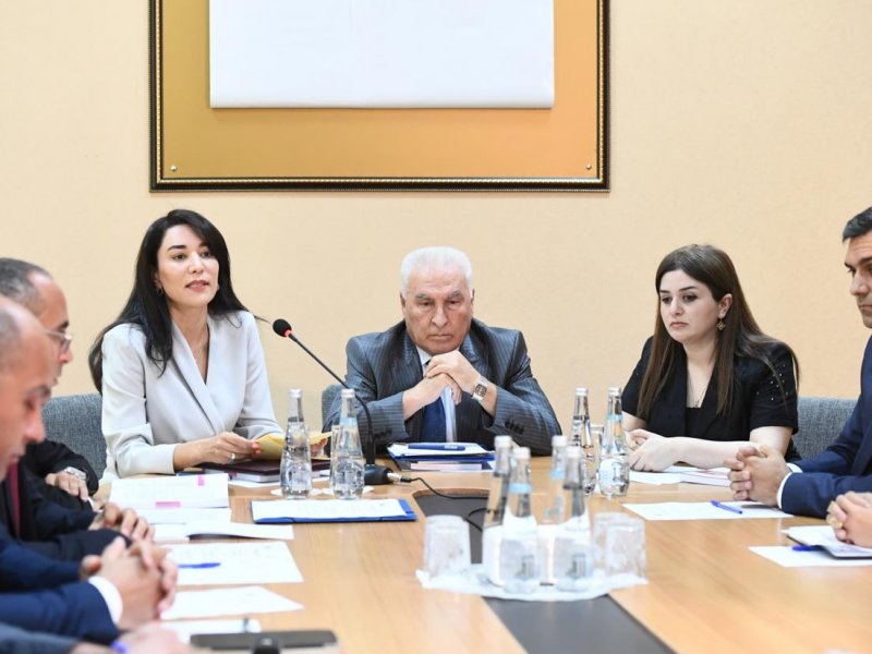 “Vətəndaşların seçki hüququnun təmini” mövzusunda növbəti dəyirmi masa Naxçıvanda keçirilib