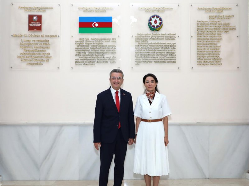 Ombudsman Səbinə Əliyeva Almaniyanın ölkəmizdəki səfirini qəbul edib