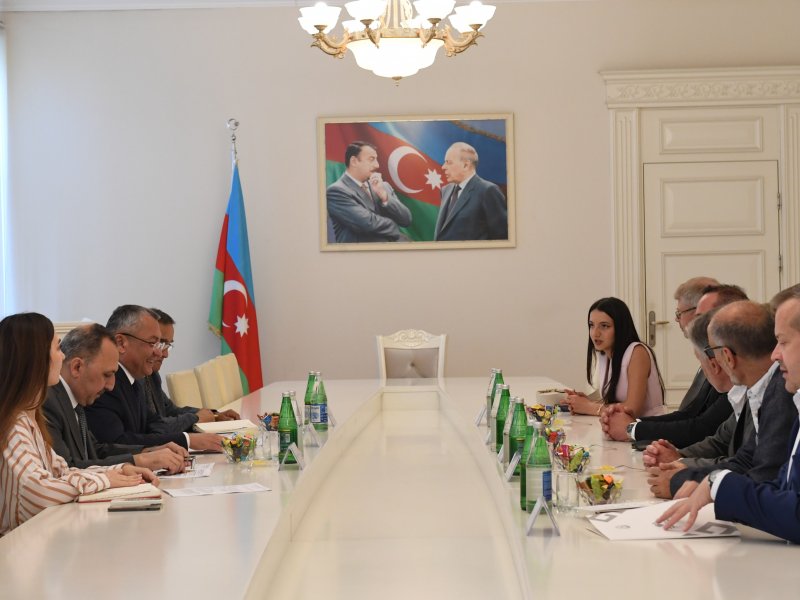 Finlandiyalı nümayəndə heyəti Azərbaycana səfərdədir