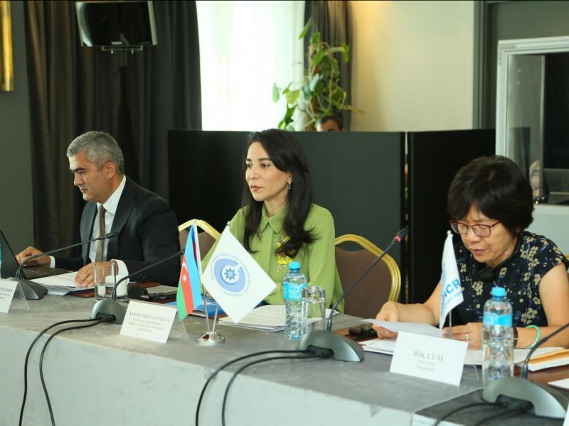 Ombudsman Aparatı tərəfindən “Şəxslərin öz iradəsi ilə tərk edə bilmədiyi müəssisələrdə saxlanılan əcnəbi və vətəndaşlığı olmayan şəxslərin hüquqlarının müdafiəsi” mövzusunda seminar təşkil edilib