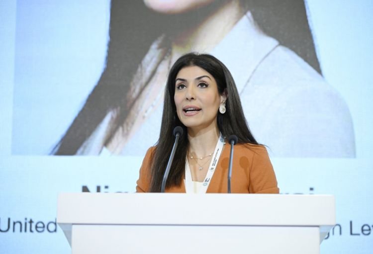 Nigar Arpadarai: İqlim məsələlərinin öhdəsindən təkbaşına gələ bilmərik