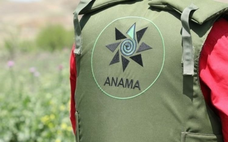 Azərbaycanın humanitar minatəmizləmə fəaliyyətinə NATO-nun dəstəyi müzakirə edilib