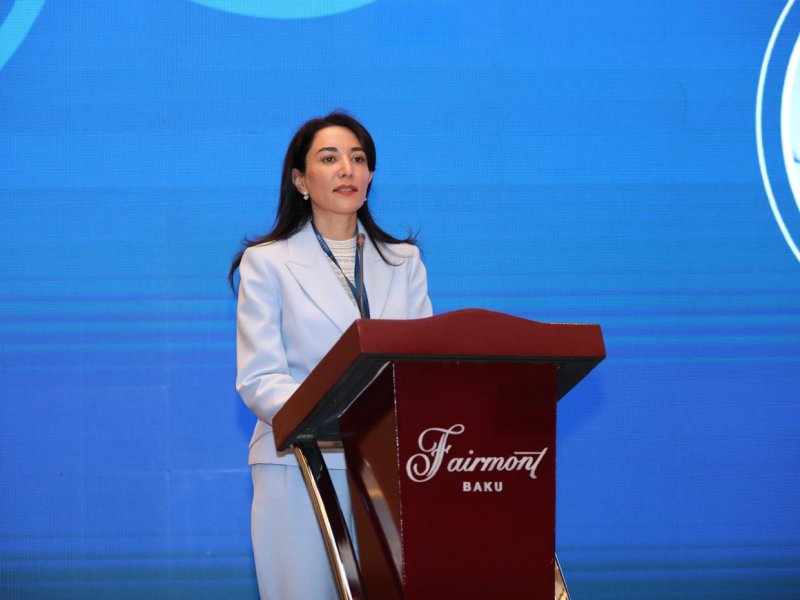 Ombudsman Səbinə Əliyeva 