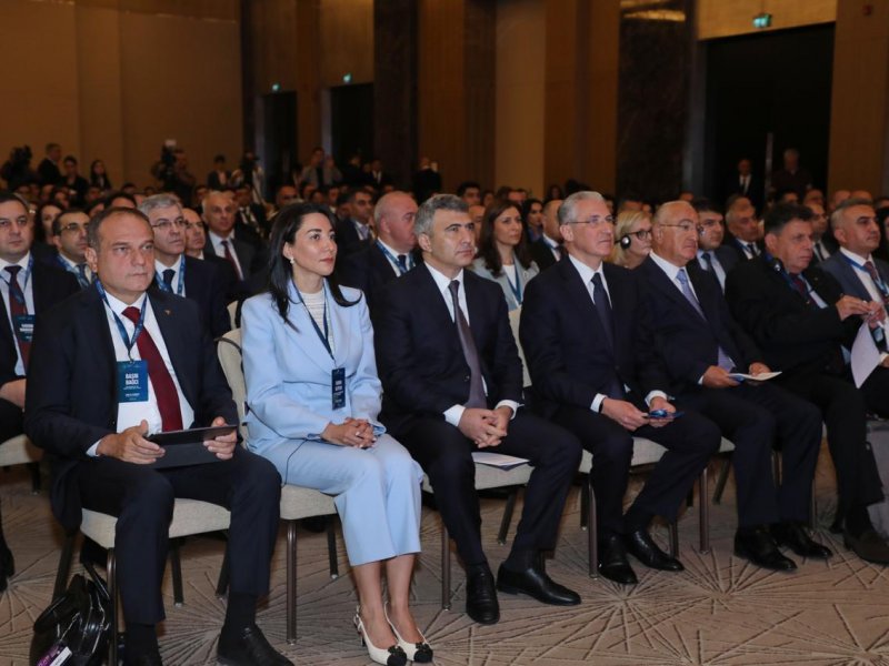 Ombudsman Səbinə Əliyeva "Law and climate" adlı beynəlxalq konfransda iştirak edib
