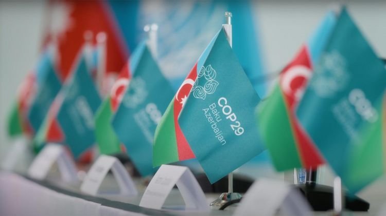 Hikmət Hacıyev “Newsweek”də yazır: Azərbaycan bütün dünyanı “COP atəşkəsi”nə dəvət edir