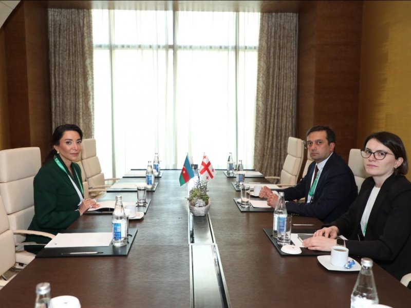 Azərbaycan Ombudsmanı Gürcüstanın Xalq Müdafiəçisi ilə görüş keçirib