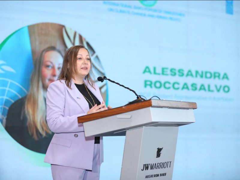 “İqlim dəyişikliyi və insan hüquqları: Ombudsman və Milli İnsan Hüquqları İnstitutlarının rolu” mövzusunda Ombudsmanların Beynəlxalq Bakı Forumu keçirilib