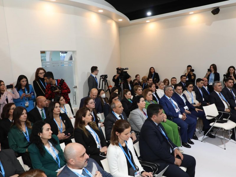 COP29 çərçivəsində “İnsan hüquqlarına əsaslanan iqlim ədaləti: Milli insan hüquqları institutlarının rolu” mövzusunda interaktiv müzakirə təşkil olunub
