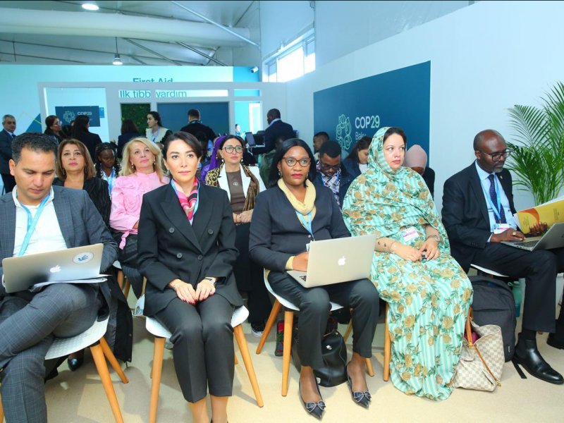 Ombudsman COP29 çərçivəsində Milli QHT Forumu və Pan-Afrika İqlim Ədaləti Alyansı tərəfindən təşkil olunmuş yan tədbirdə iştirak edib