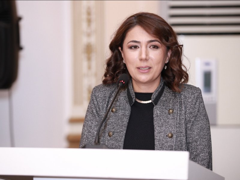 Azərbaycan tarixinə dair qısametrajlı filmlərin təqdimatı keçirilib