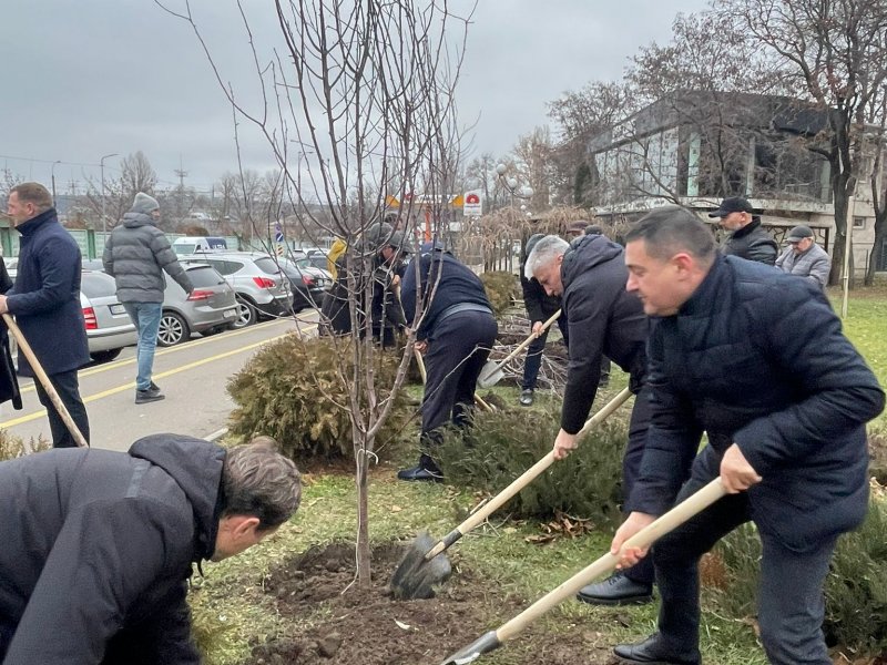 Kişineuda "Xarıbülbül" Azərbaycan-Moldova dostluq xiyabanı salınıb