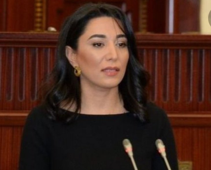 OMBUDSMAN MİLLİ MƏCLİSDƏ İLLİK MƏRUZƏ İLƏ ÇIXIŞ EDİB