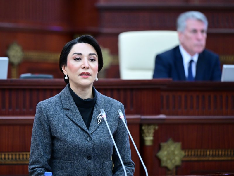 Ombudsman 2024-cü il üzrə məruzəsini Milli Məclisdə təqdim edib