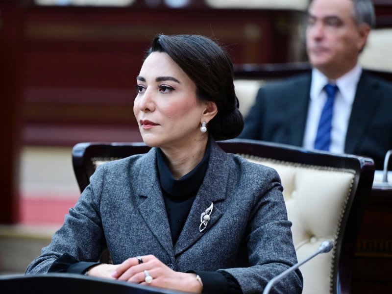 Ombudsman 2024-cü il üzrə məruzəsini Milli Məclisdə təqdim edib