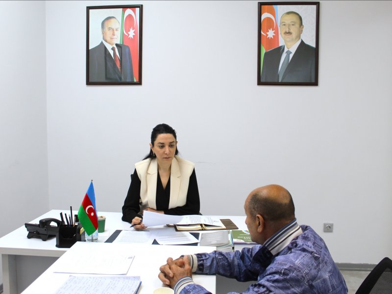 Ombudsman Səbinə Əliyeva növbəti vətəndaş qəbulu keçirib