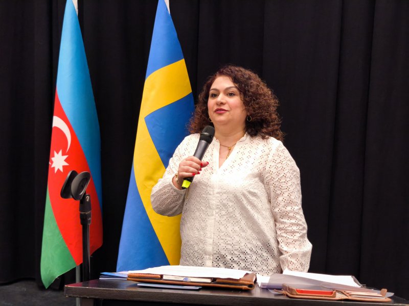Skandinaviya Azərbaycanlıları Koordinasiya Şurasının toplantısı keçirilib