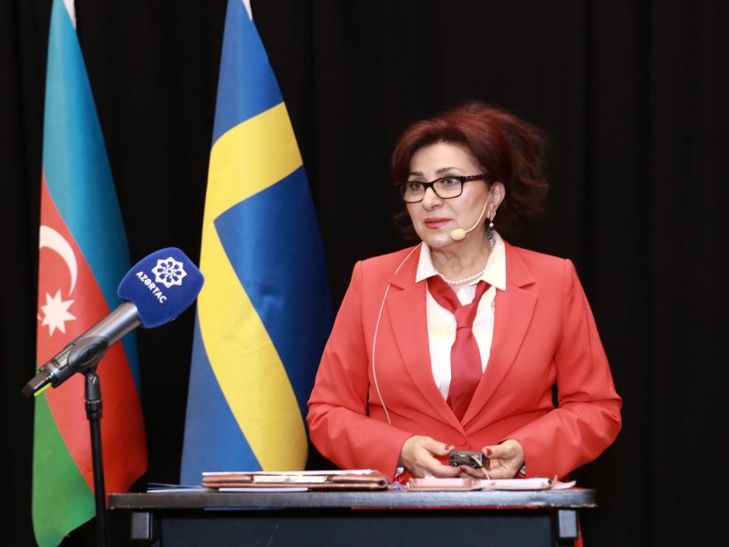 Skandinaviya Azərbaycanlıları Koordinasiya Şurasının toplantısı keçirilib