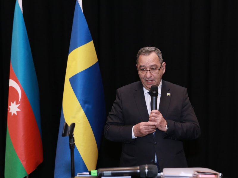 Skandinaviya Azərbaycanlıları Koordinasiya Şurasının toplantısı keçirilib