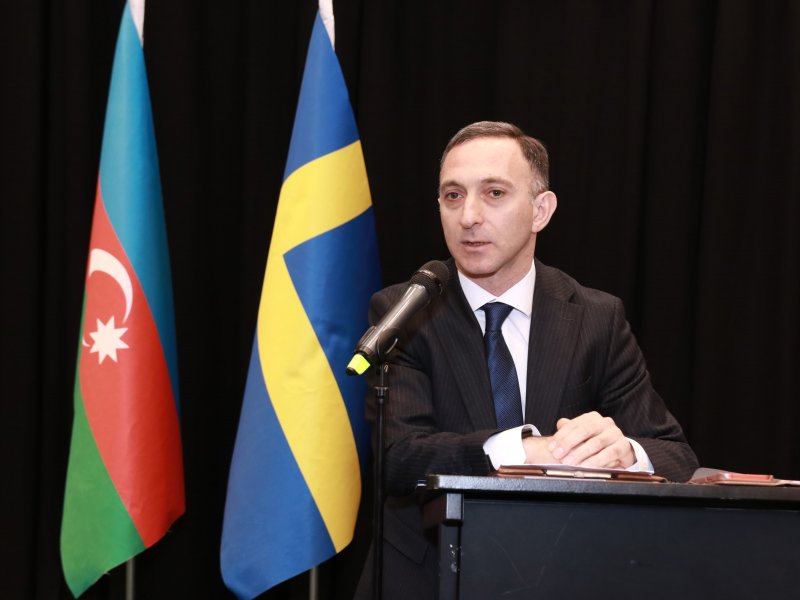 Skandinaviya Azərbaycanlıları Koordinasiya Şurasının toplantısı keçirilib