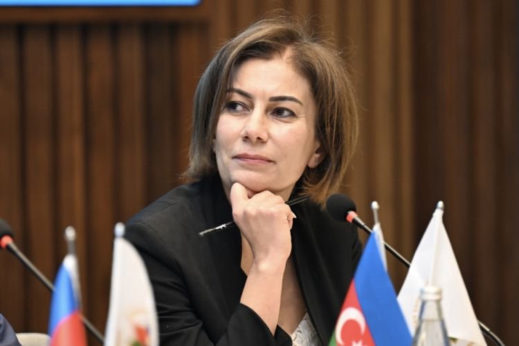 Azərbaycan Şahmat Federasiyasının baş katibi təsdiqlənib