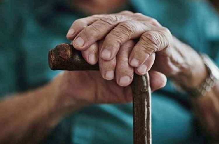Alimlər uzunömürlülüyü proqnozlaşdırmağı öyrəniblər